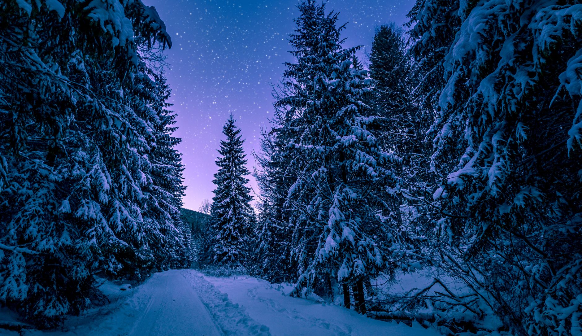 pexels photo 773594