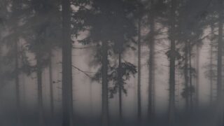 pombero guarani forest spirit photo