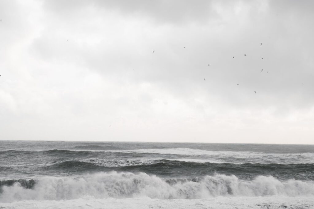 Rannamaari: The Sea Demon the Maldives Prayed Away