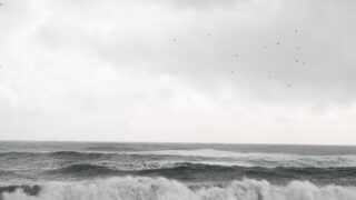 rannamaari maldives sea demon photo