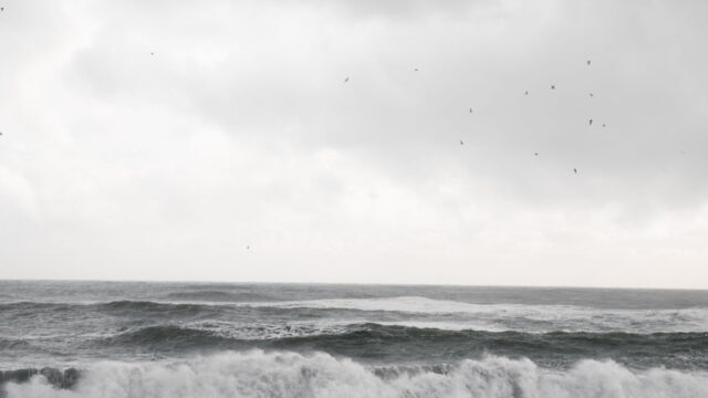 rannamaari maldives sea demon photo