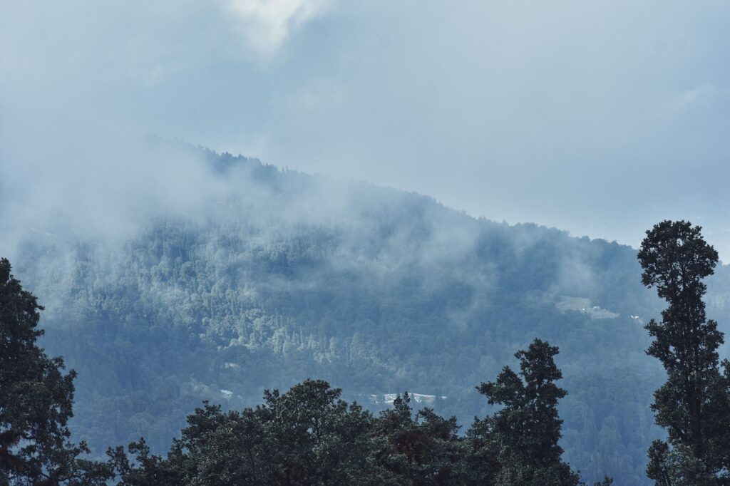 Yamauba: The Mountain Hag Who Might Feed You, or Eat You