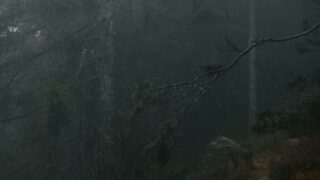 aghach kishi azerbaijan forest man legend photo