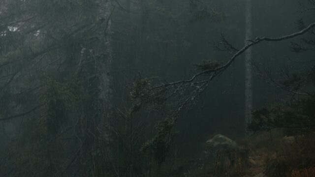 aghach kishi azerbaijan forest man legend photo