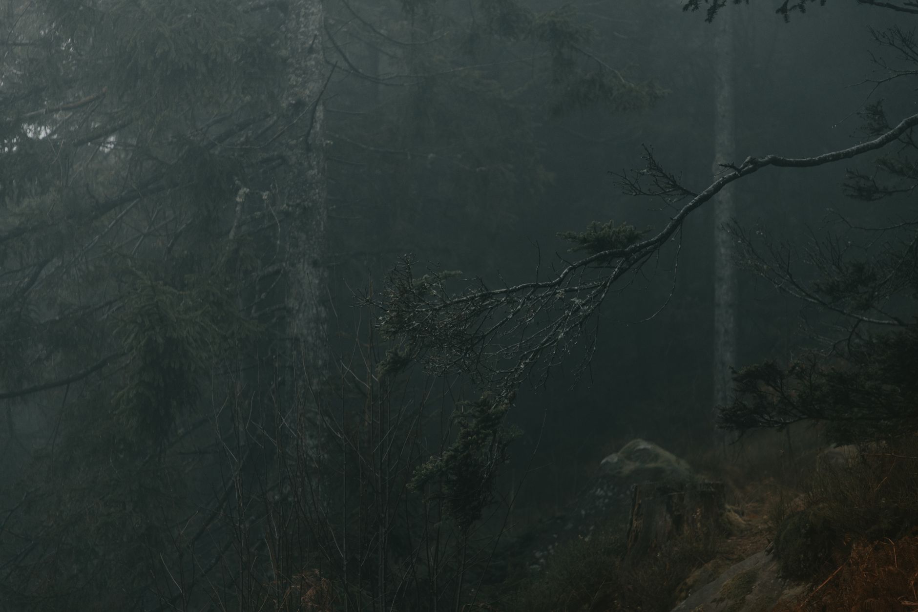 aghach kishi azerbaijan forest man legend photo