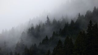 ali georgian caucasus forest demon legend photo