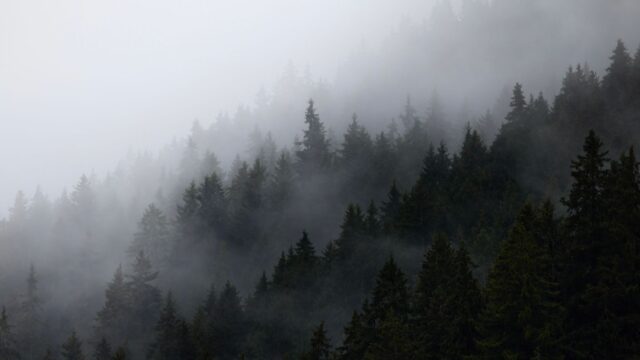 ali georgian caucasus forest demon legend photo