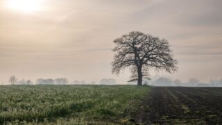 black annis leicestershire dane hills hag legend photo