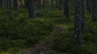 haunted places in wisconsin photo