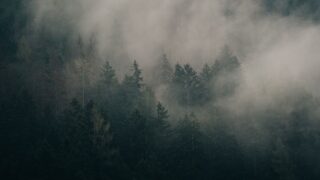 huldra scandinavian forest woman cow tail legend photo