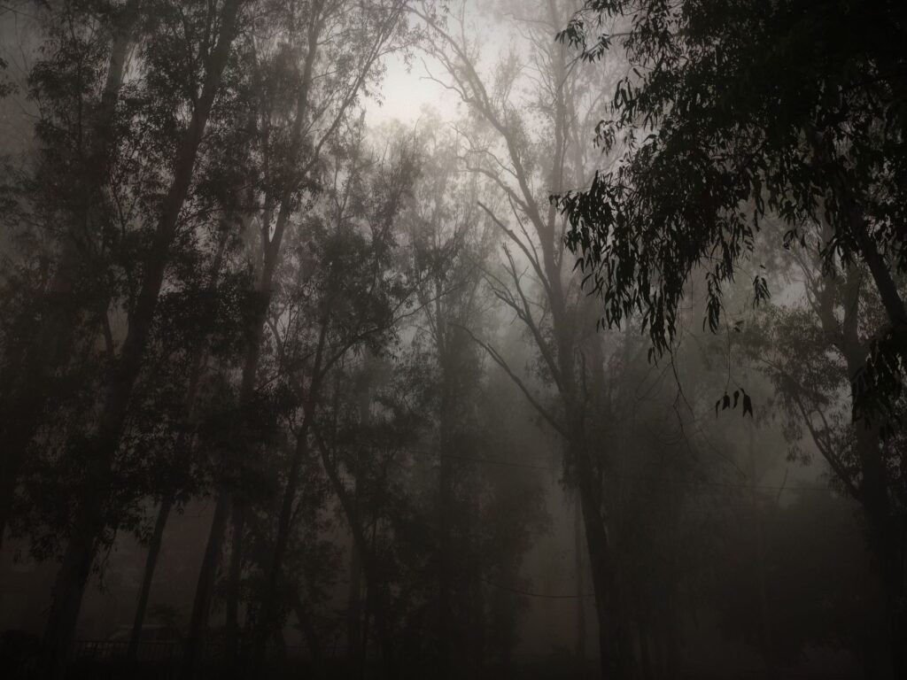 Leshy: The Slavic Forest Spirit Who Wore His Shoes on the Wrong Feet