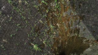 sadako ringu the ring real story japanese ghost legend photo