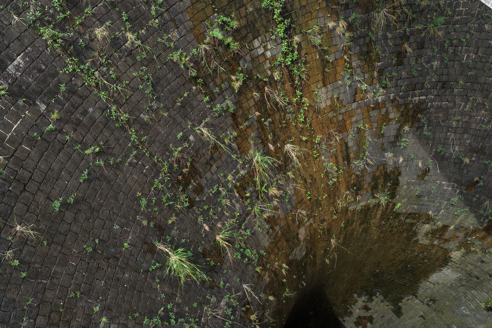 An old stone well covered with moss